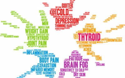 Hormones, Your Brain and Weight