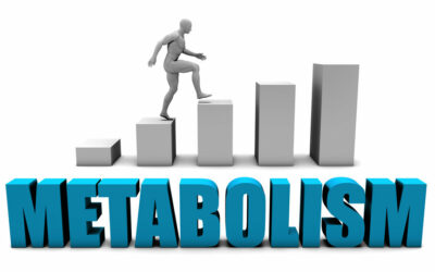 Step Up Your Metabolism